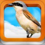 aves-app